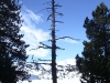 6 Trek Boulliouse Campo